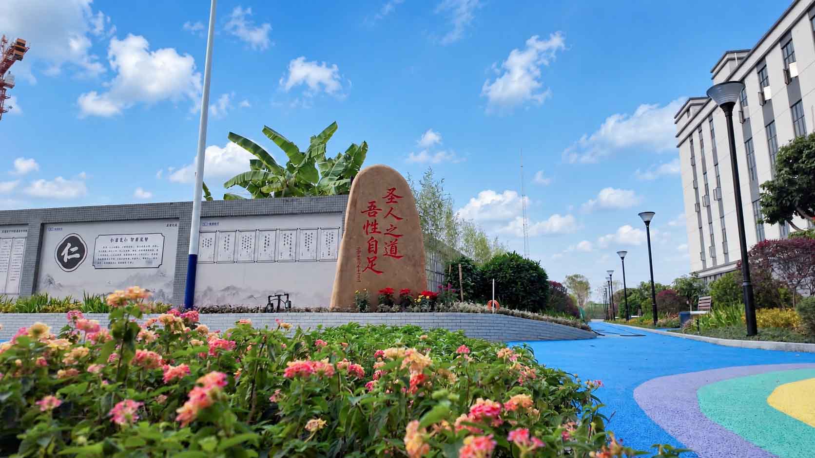 总部公园照片